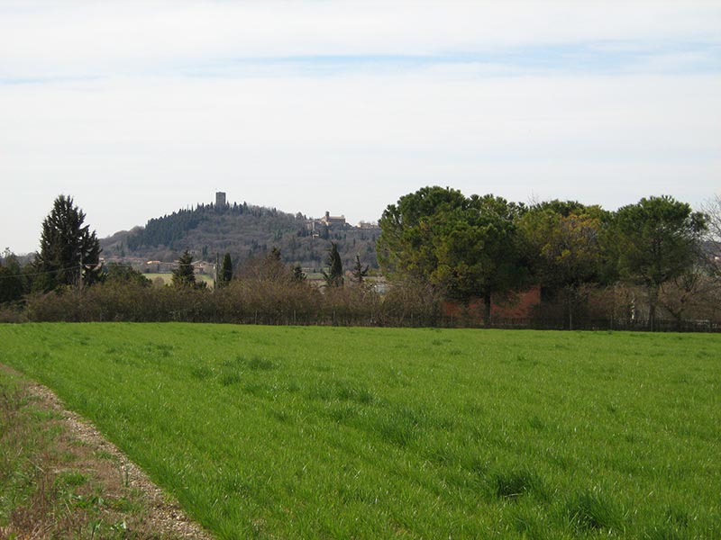 Umgebung