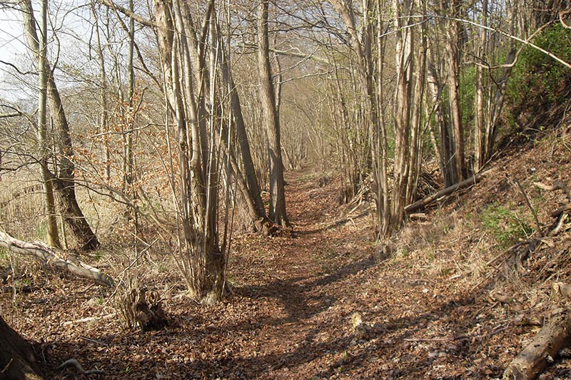 Uferweg